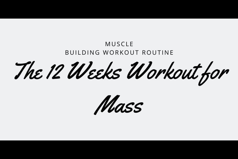 muscle-building-workout-routine