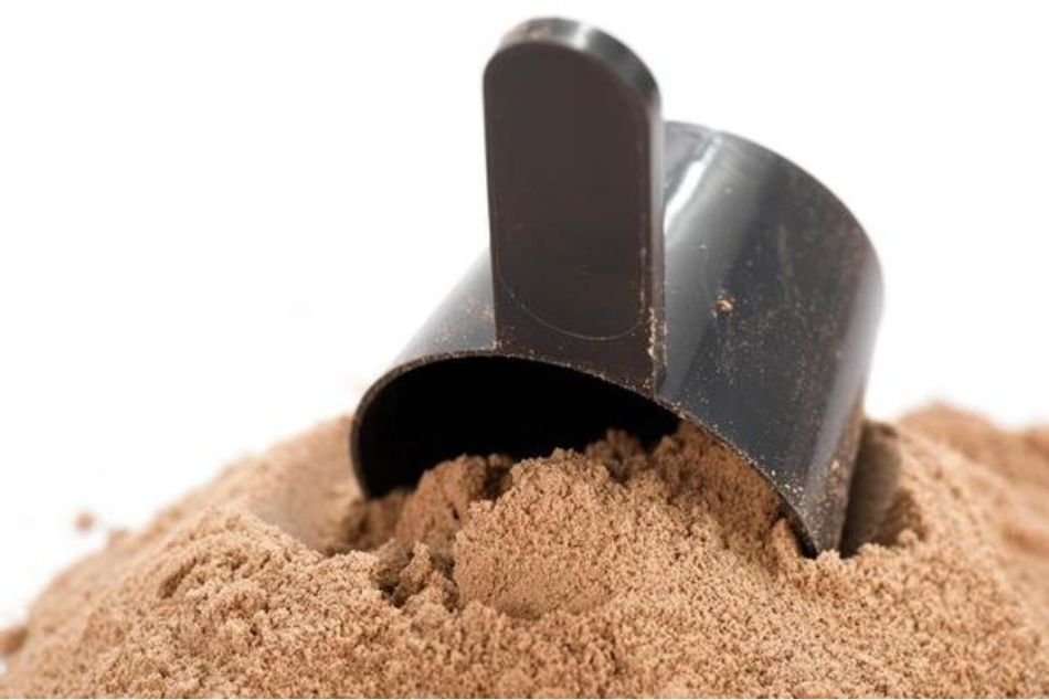 Importance and Benefits of Protein Supplements