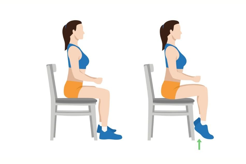 seated calf raises